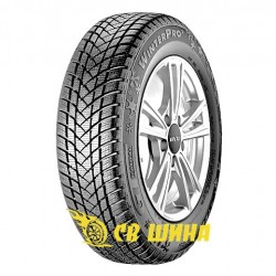 WinterPro2