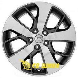Kia (CT1782)